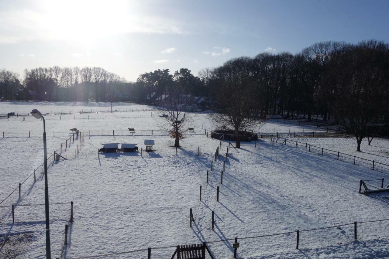 B&B Achterom Loon op Zand Bagian luar foto