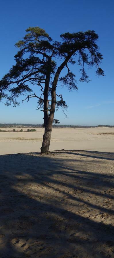 B&B Achterom Loon op Zand Bagian luar foto